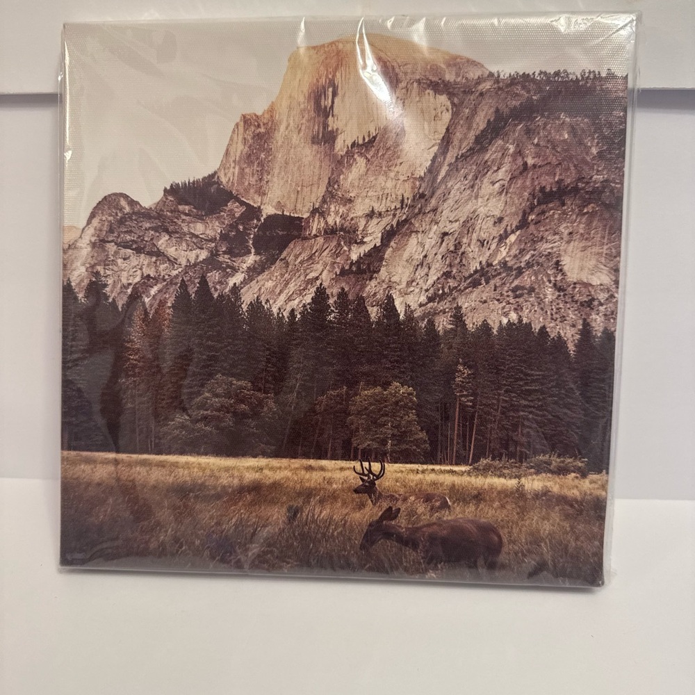 Scenic Mountain Wall Art in Brown and Green